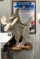 Прошел фестиваль косторезного искусства народов России «Сказ на бивне мамонта»